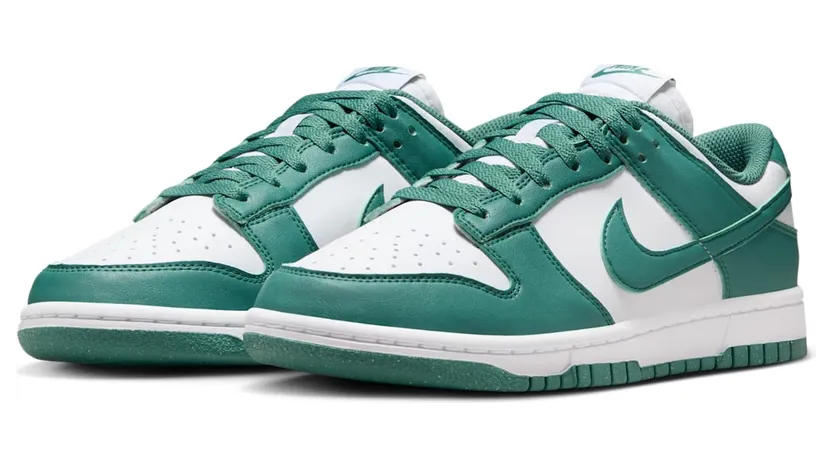 nike-dunk DD1873-107