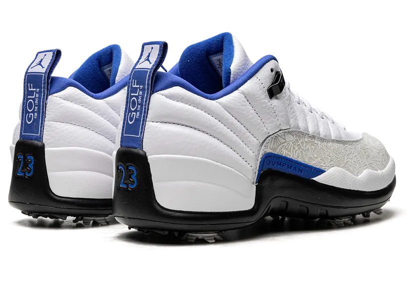 air-jordan-12 DM9015-105