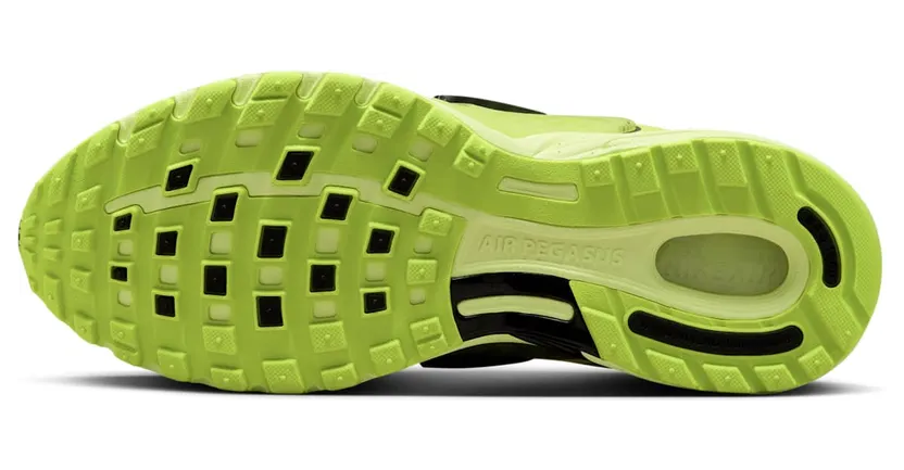 nike-air-pegasus IB0612-700