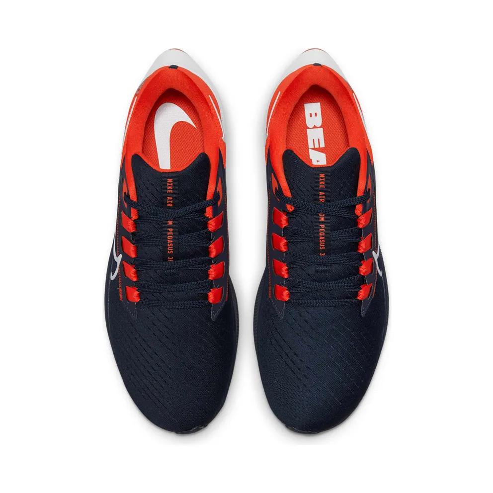 Nike Air Zoom Pegasus 38 Chicago Bears (DJ0811-400)