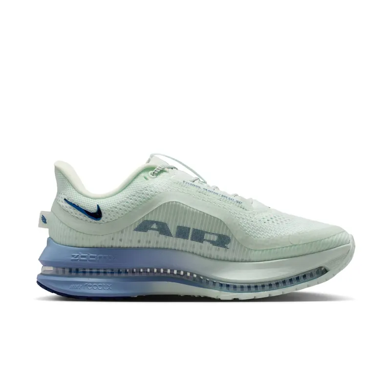 Nike Pegasus Barely Green/Work Blue/Football Grey/Blue Void (HQ2593-301)