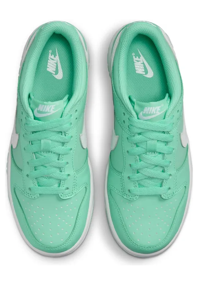 nike-dunk DH9765-302
