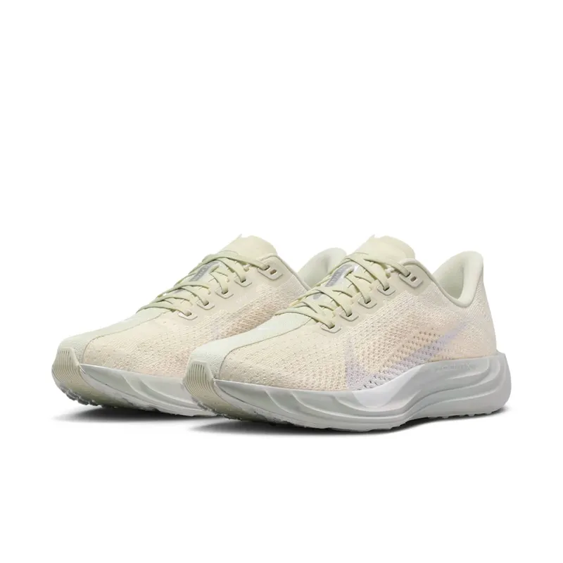 Nike Pegasus Sea Glass/Chalk/Pure Platinum/White (IO9912-001)