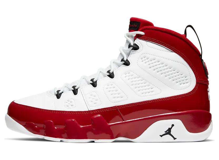 Air Jordan 9 Retro Gym Red (302370-160)