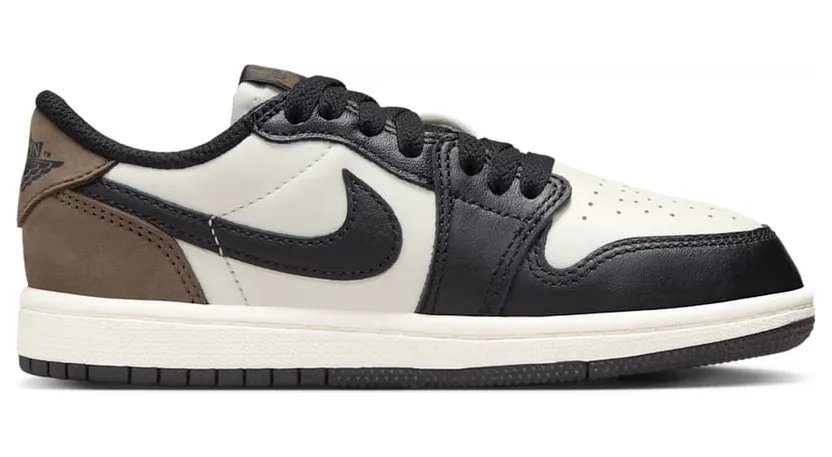 air-jordan-1 FQ5436-102