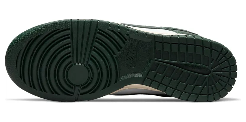 nike-dunk DQ8580-100