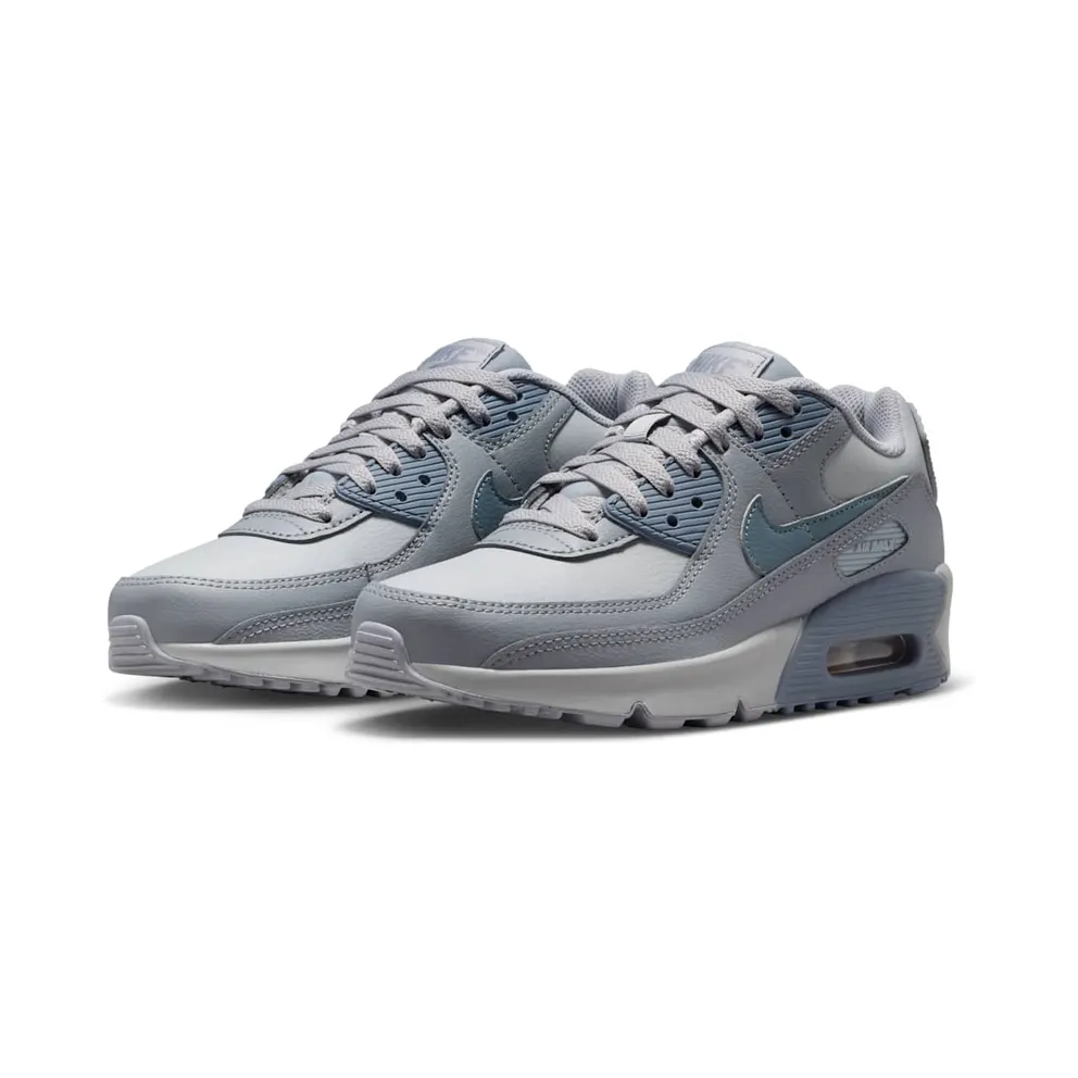 Nike Air Max 90 LTR Wolf Grey Stealth Armory Blue (CD6864-032)