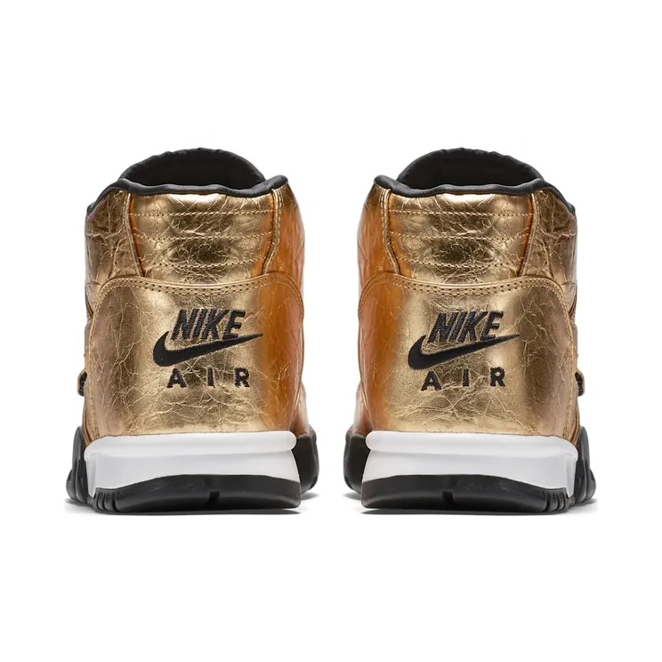air-jordan-trainer-1 840169-700
