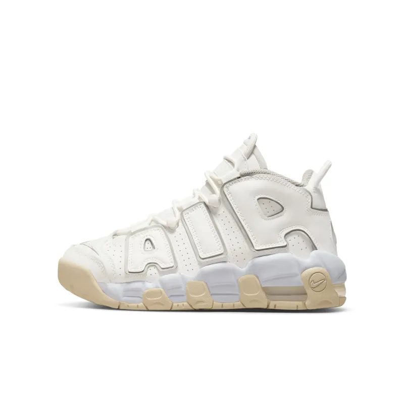 Nike Air More Uptempoen Grey (DM1023-001)
