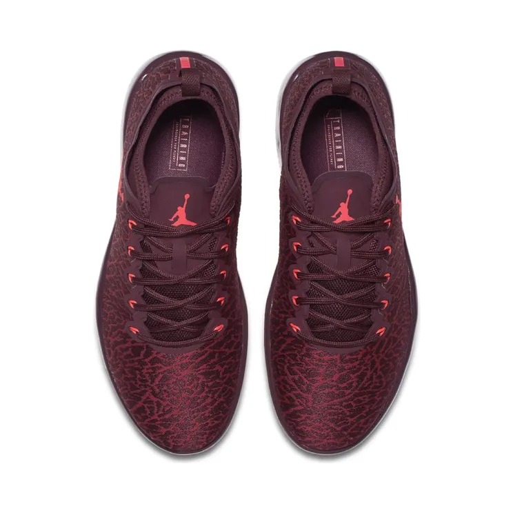 jordan-trainer-1-low 845403-600