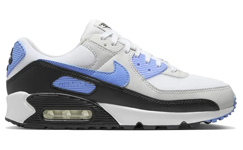 Nike Air Max 90 Royal Pulse (DH8010-106)