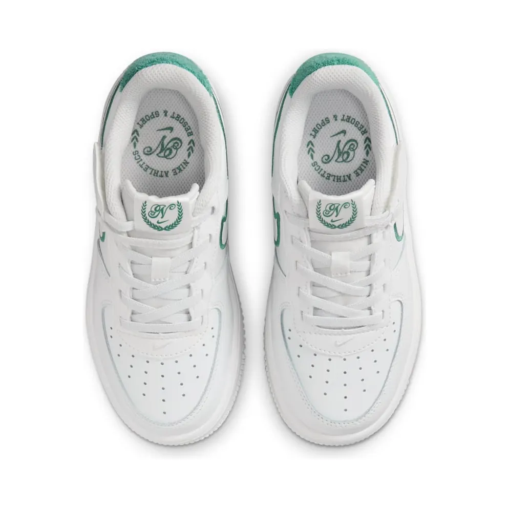 Nike Force 1 Low LV8 EasyOn Summit White Bicoastal (FZ3369-100)