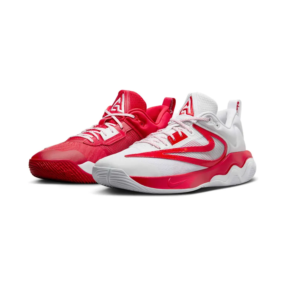Nike Giannis Immortality 3 All Star (FV4057-600)