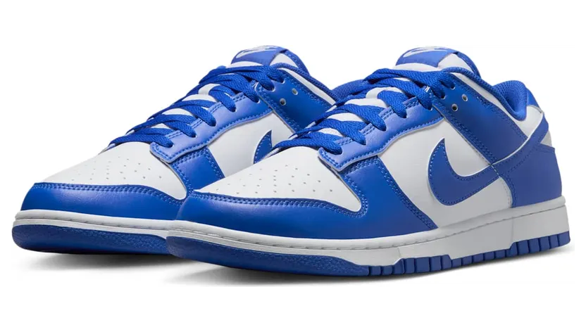 nike-dunk HF5441-112