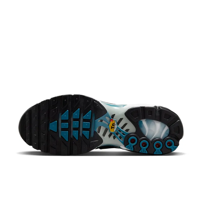 Nike Air Max Plus Dot Pattern Black Dusty Cactus (HV6355-001)