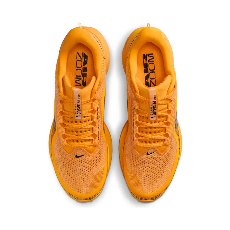 nike-air-pegasus IH3256-700