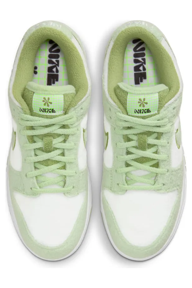 nike-dunk DQ7579-300