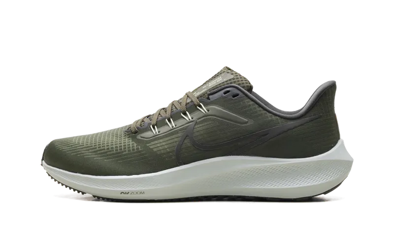 Nike Air Zoom Pegasus 39 “Cargo Khaki” (DH4071-300)