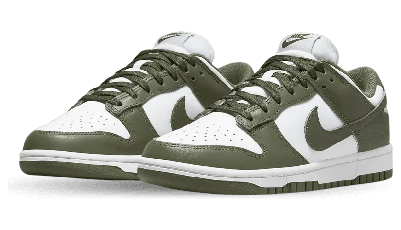 nike-dunk DD1503-120