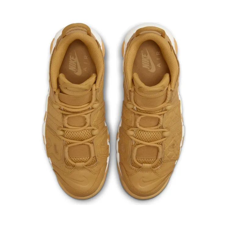 nike-air-more-uptempo DX3375-700