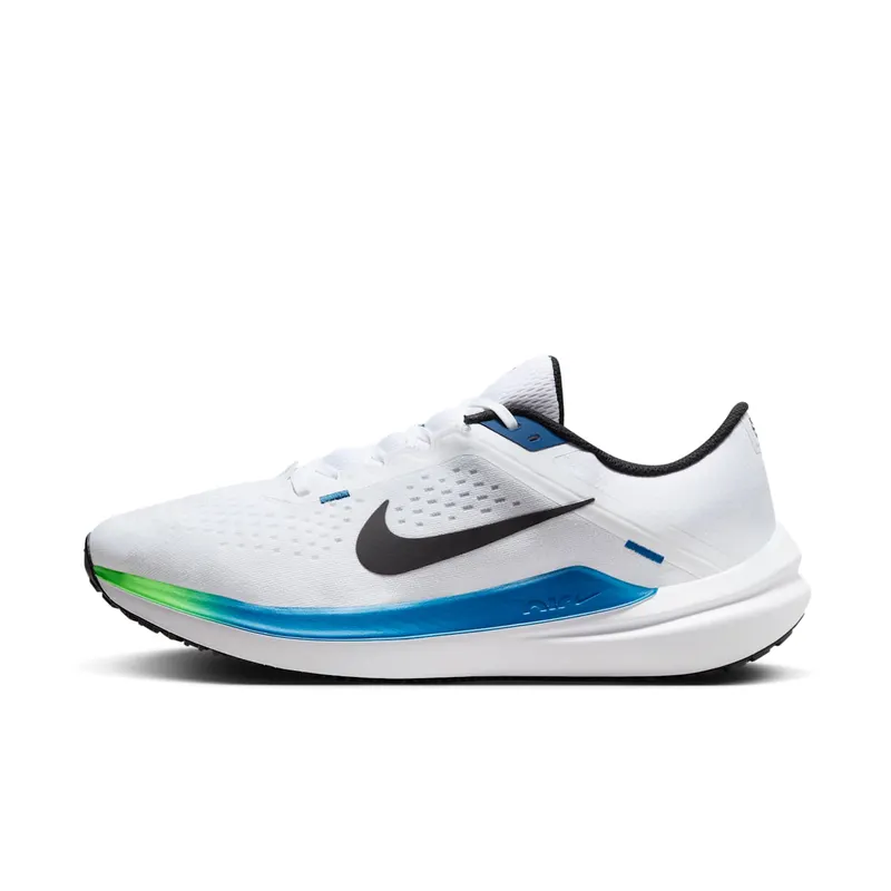 Nike Winflo 10 White (DV4022-103)