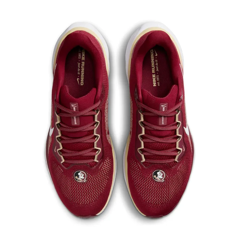 Nike Air Zoom Pegasus 41 Florida State (FZ5114-600)
