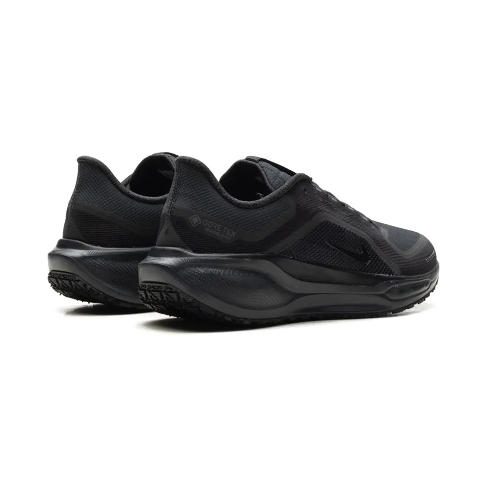 Nike Air Zoom Pegasus 41 GTX “Black Anthracite” (FQ1356-001)
