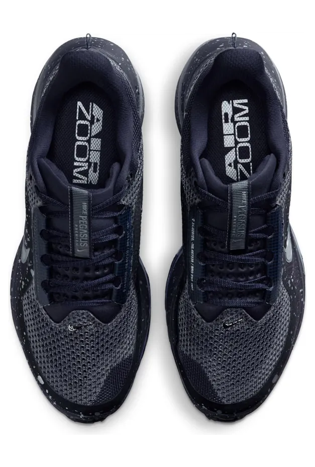 nike-air-pegasus IH0861-500
