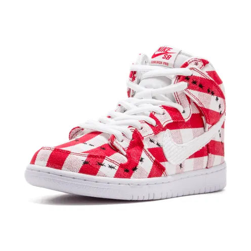 nike-dunk-sb 305050-610