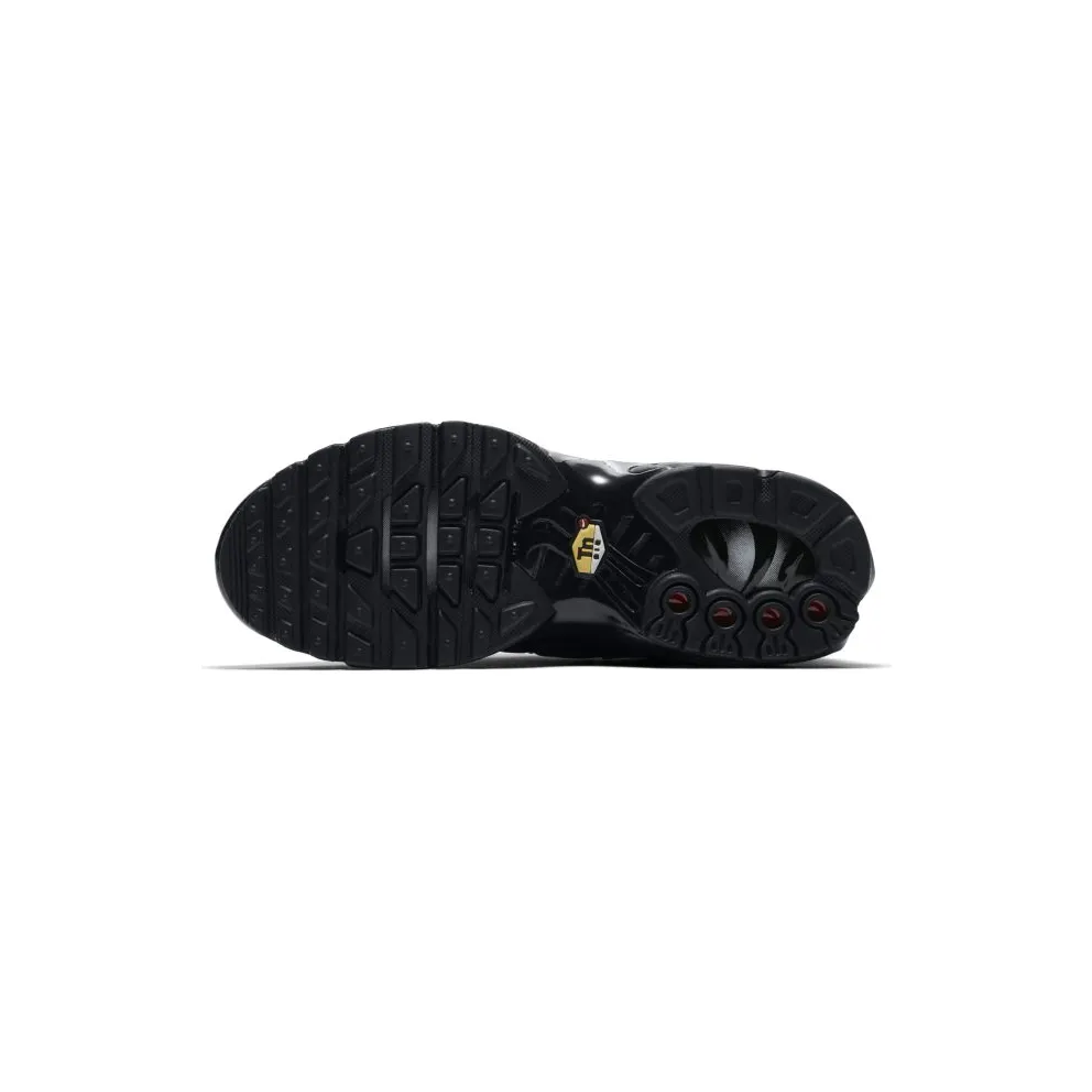 Nike Air Max Plus Black (GS) (655020-009)