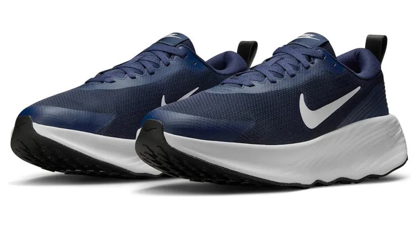 nike-promina FV5285-400