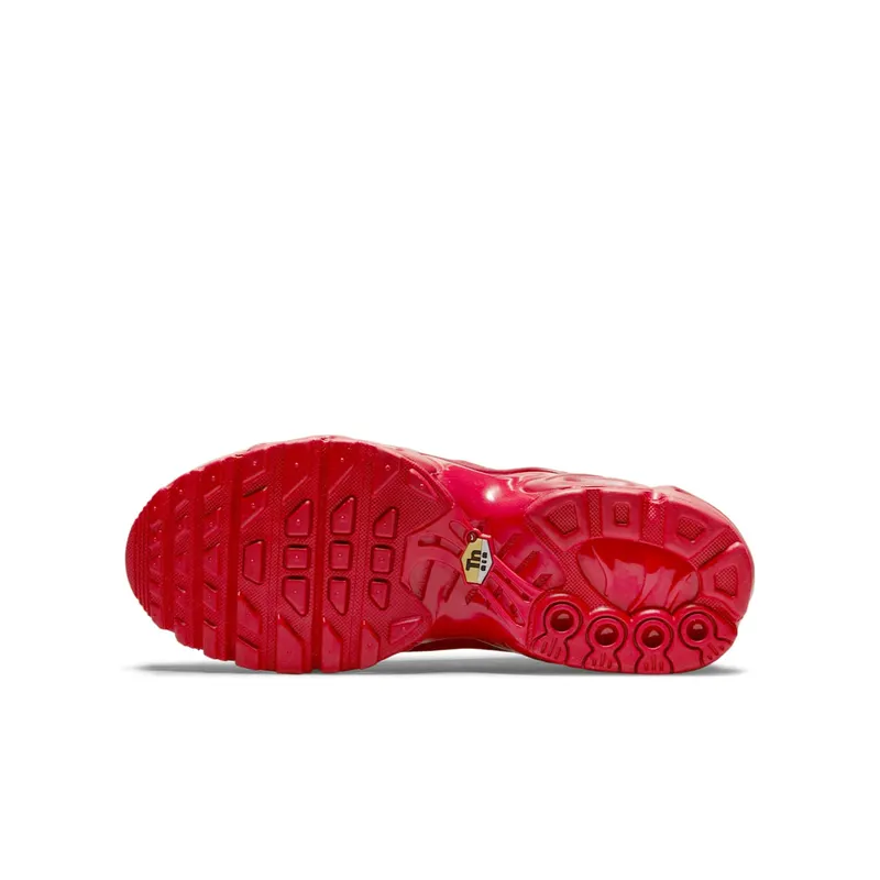Nike Air Max Plus University Red (GS) (DM8877-600)