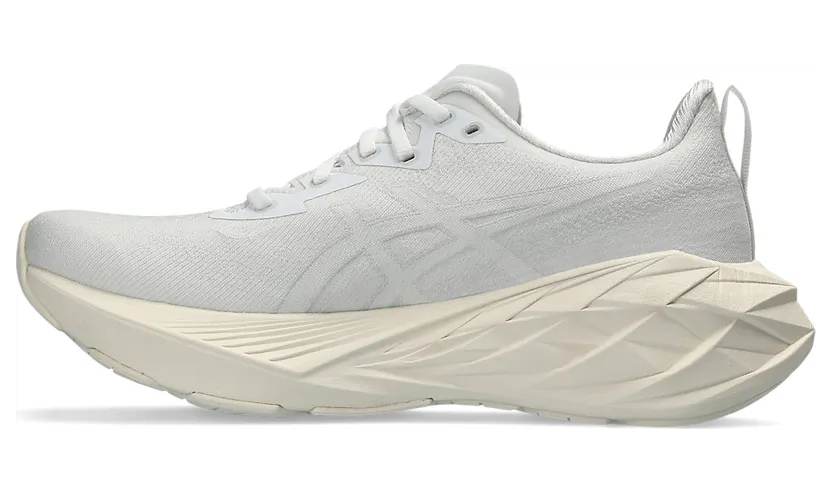asics-novablast 1012B510.102