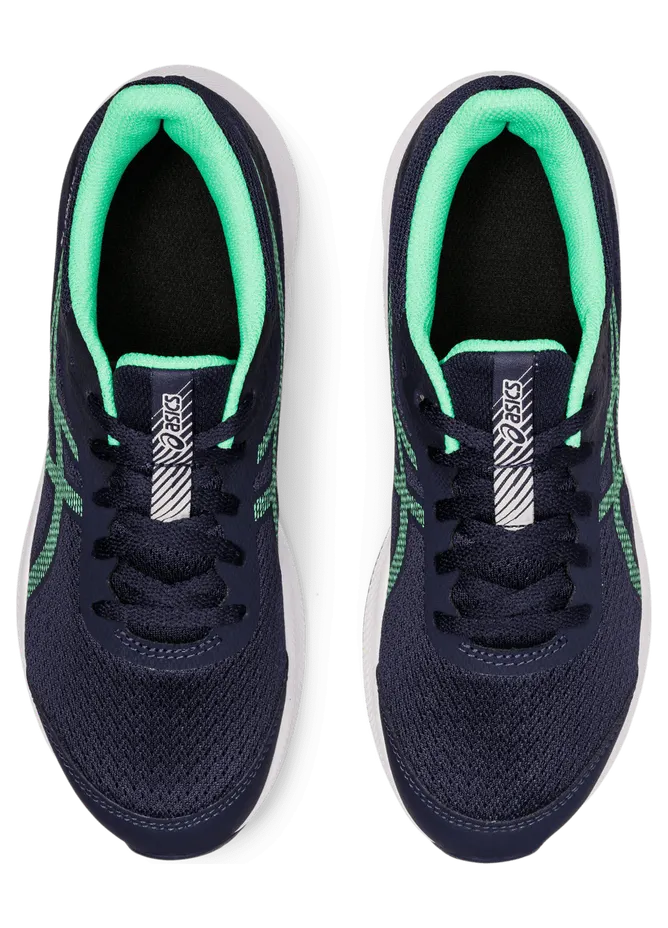 asics-patriot 1014A267.401