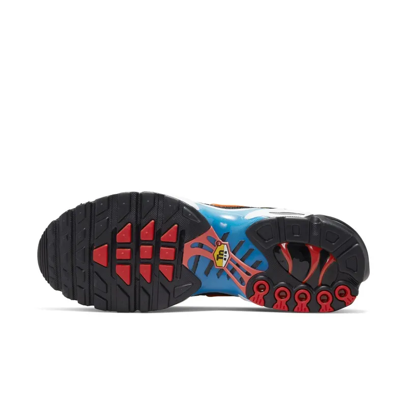 Nike Air Max Plus Black (DX2665-001)