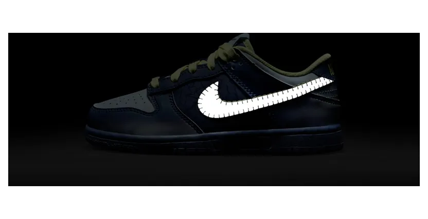 nike-dunk FQ8355-491