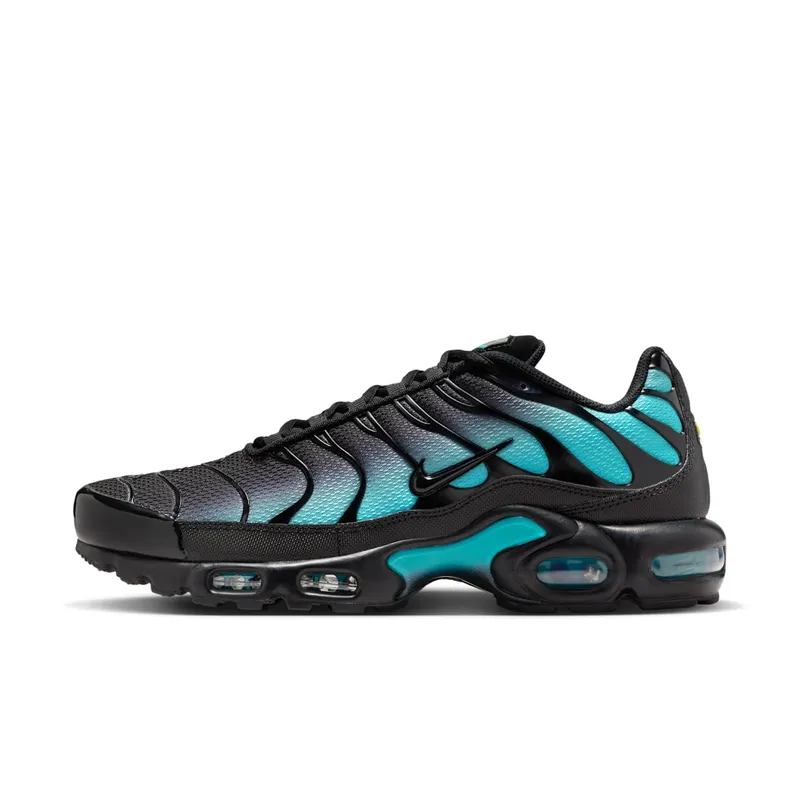 Nike Air Max Plus Black Dusty Cactus (DM0032-016)