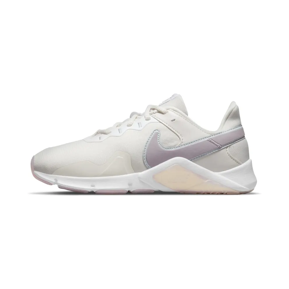 Nike Legend Essential 2 Premium Training Grey (CZ3668-005)