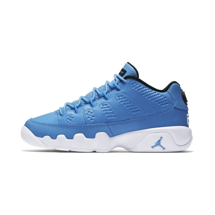 Air Jordan 9 Retro Low BG Pantone (833447-401)