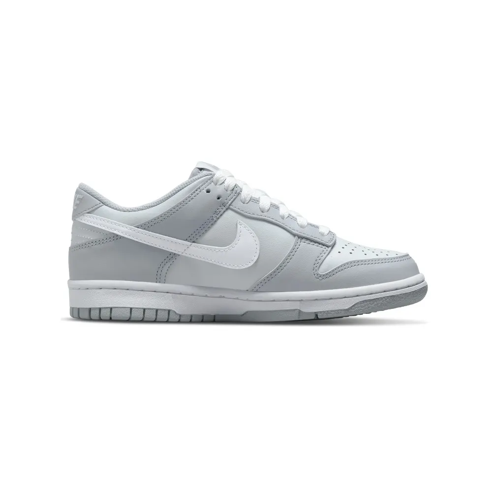 Nike Dunk Low Two-Toned Grey (GS) (DH9765-001)