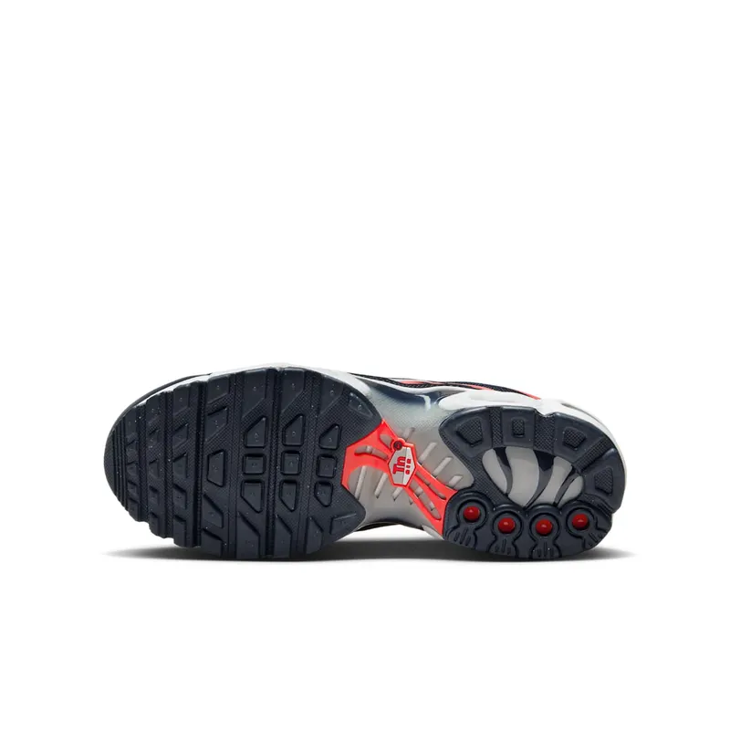 Nike Air Max Plus Dark Obsidian Bright Crimson (CD0609-408)