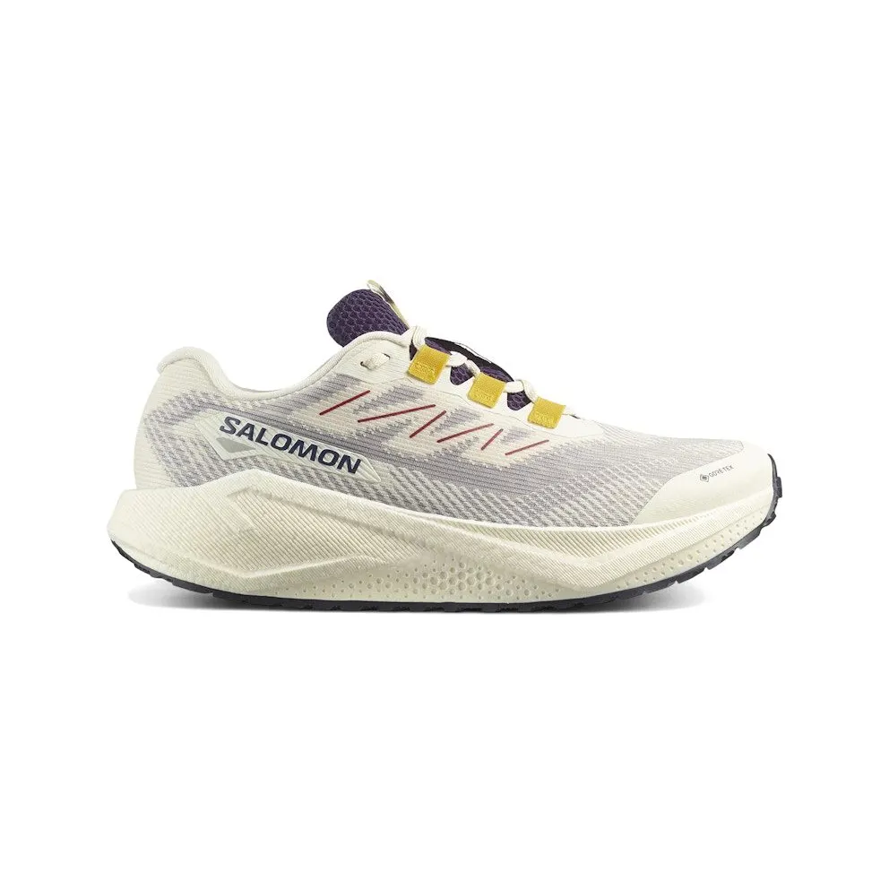 Salomon Aero Blaze 3 GRVL Gore-Tex Vanilla Ice Astral Aura (L47953200)