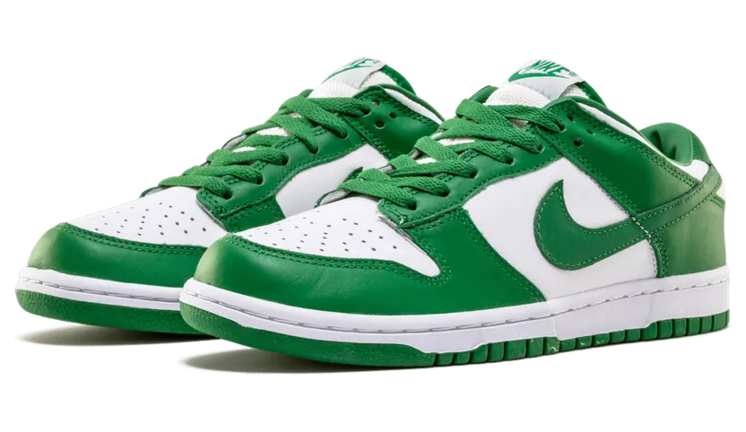 nike-dunk 304714-132