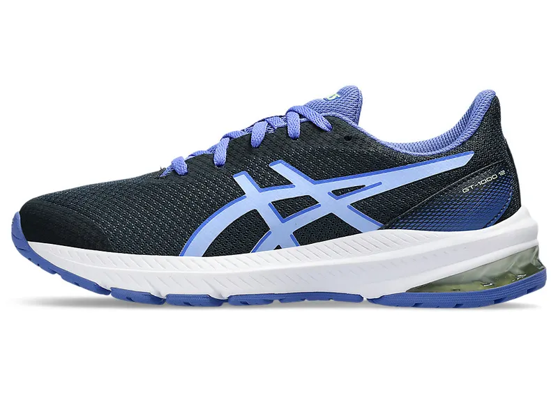 Asics Gt-1000 12 Gs French Blue/Light Sapphire (1014A296.406)