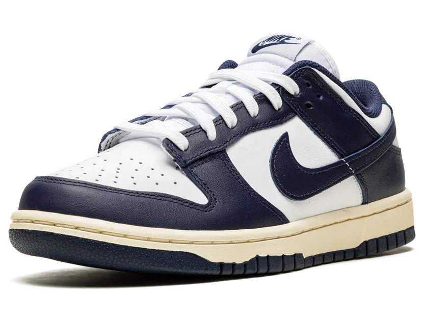 nike-dunk DD1503-115