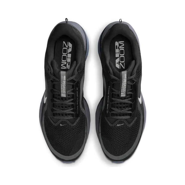nike-air-pegasus HQ2592-006