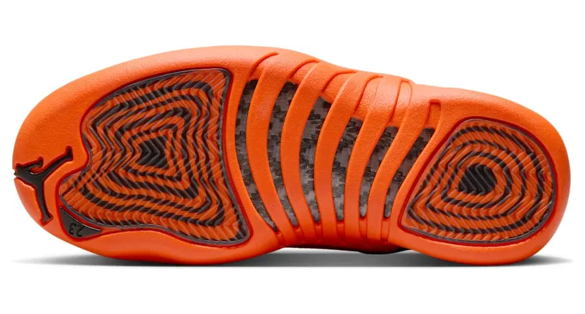 air-jordan-12 FD9101-081