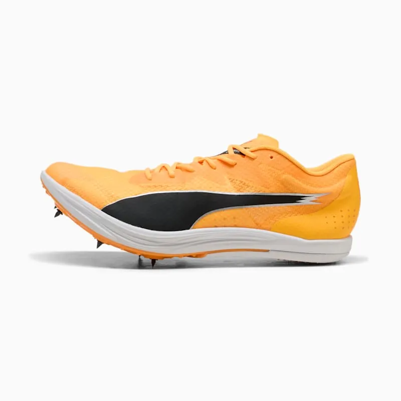 Sports Shoes Puma Evospeed (312857-01)