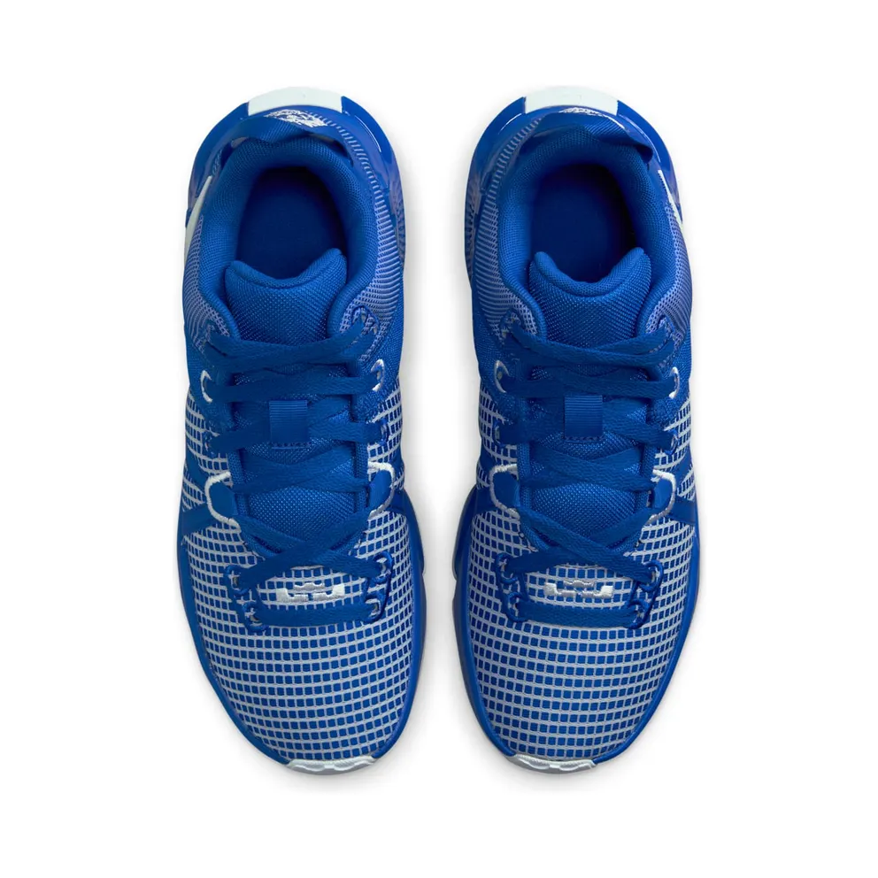 Nike LeBron Witness 7 TB Game Royal (DZ3299-400)