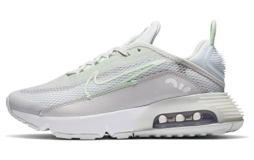 Nike Air Max 2090 Grey (CJ4066005)